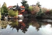 tesl China