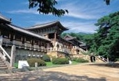 tesl Korea