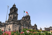 TEFL TEFL Mexico