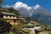 tesl Nepal