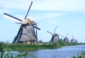 TESL TESL The Netherlands