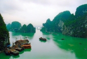 TESL TESL Vietnam