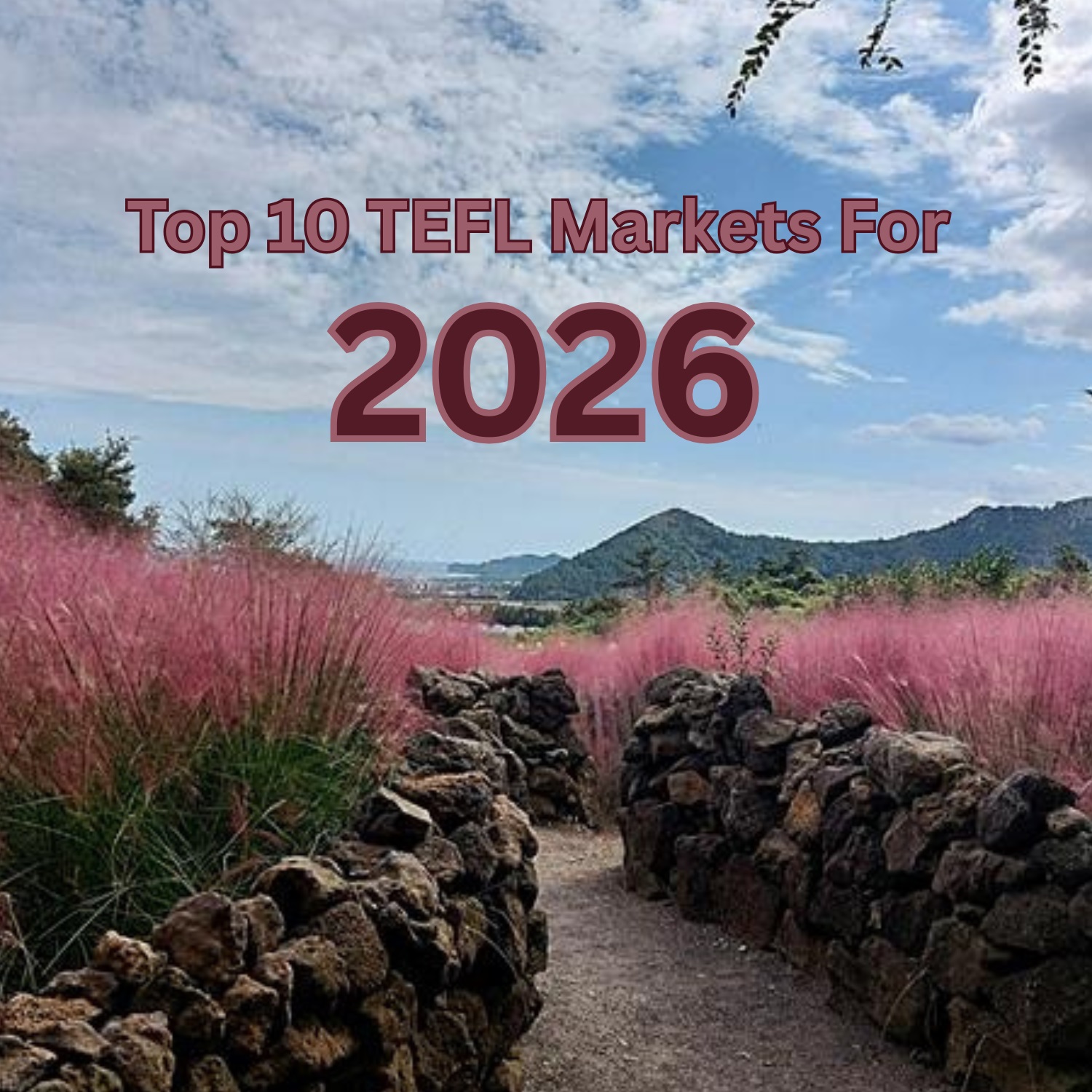 Top 10 Opportunities 2024
